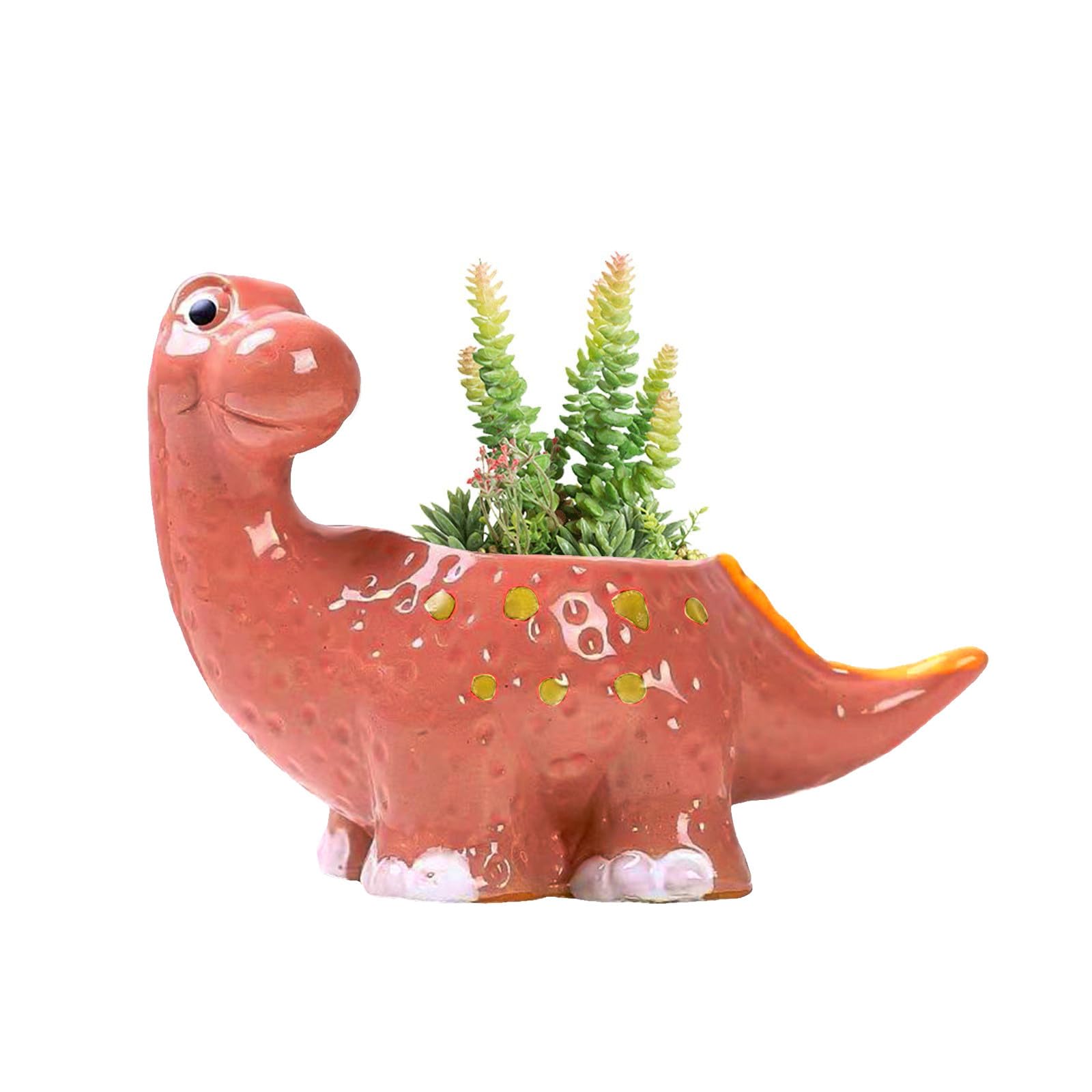 Vaso Per Piante Grasse Animale Da Cartone Animato Piccola