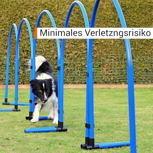 SPORTIKEL24 Hoopers Hoop – wetterfest, VDH-konform & farbig – mit Stecksystem für sicheres Hundetraining – aus robustem Kunststoff – Flexibler Hundesport-Reifen mit Stecksystem – Blau/Gelb