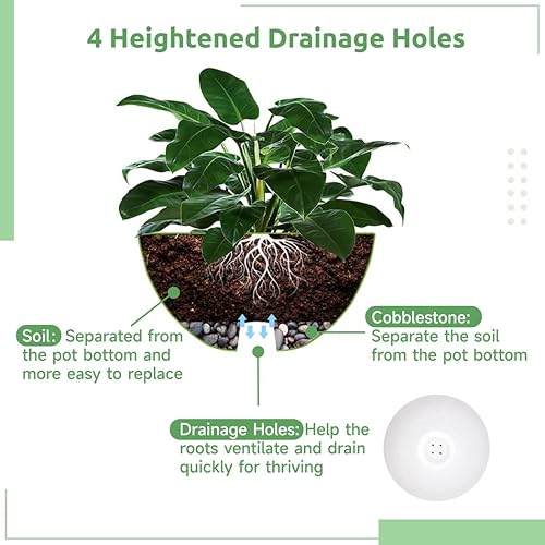 Miniatura 3 de Homaisson 4 macetas colgantes, macetas de 10 pulgadas con 4 agujeros de drenaje, macetas colgantes de cuerda de cáñamo para interiores y exteriores