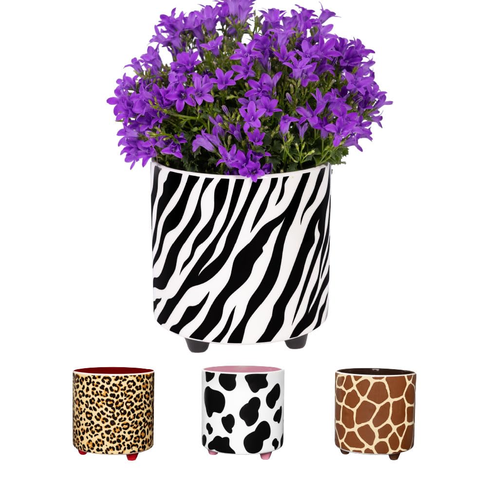 Fisura - Original Plant Pot Zebra Design - Decorative Indoor Ceramic Planter with Legs for Cactus & Succulents, Animal Print Flower Pot, Gift Idea, 13 x 12.5 cm