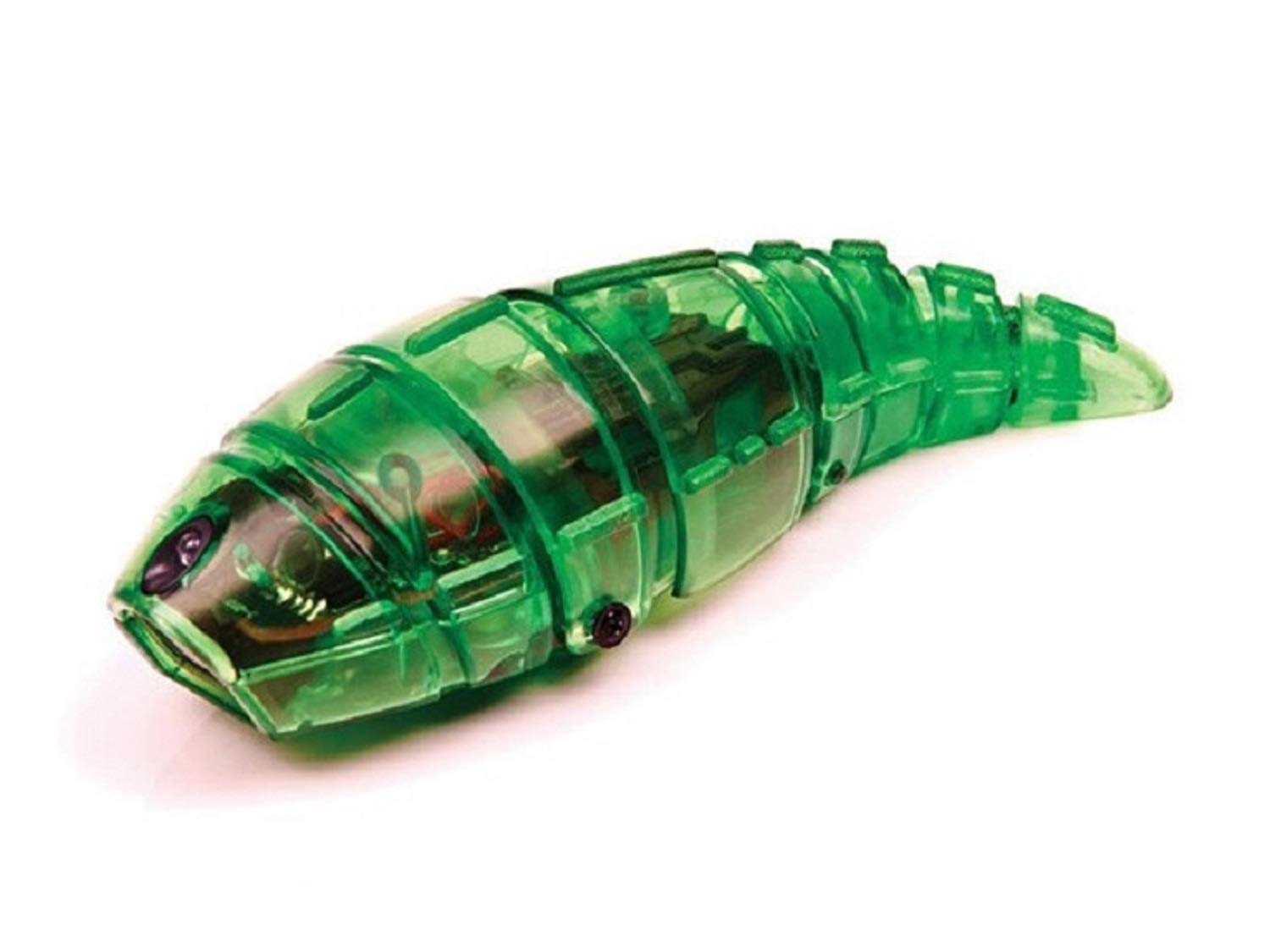 Amazon | HEXBUG ヘックスバグ イモムシ (※1個・お色はおまかせ