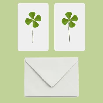 4 Leaf Clover Natural Laminated Lucky Charm and Good Luck Original Gift of Happiness: Dried Four Leaf Clover (2)