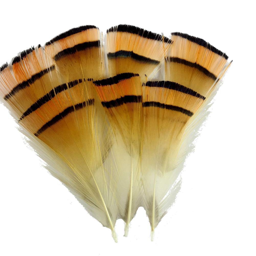 Sowder 50pcs Golden Yellow Pheasant Plumage Feathers 1-3 Inches Home Wedding Decoration