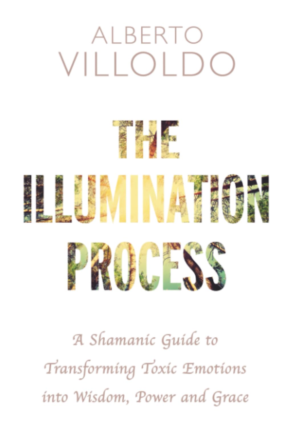 The Illumination Process : A Shamanic Guide to Transforming Toxic Emotions into Wisdom, Power, and Grace