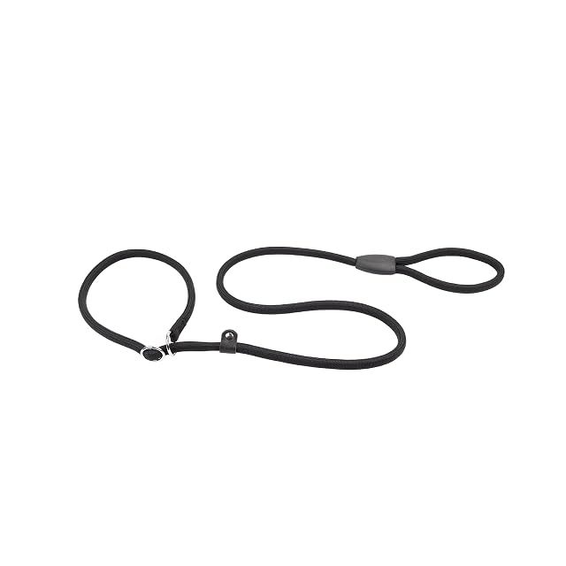 Ferplast SPOR Correa y Collar para Perros, Correa con Medio Collar de estrangulamiento Ajustable