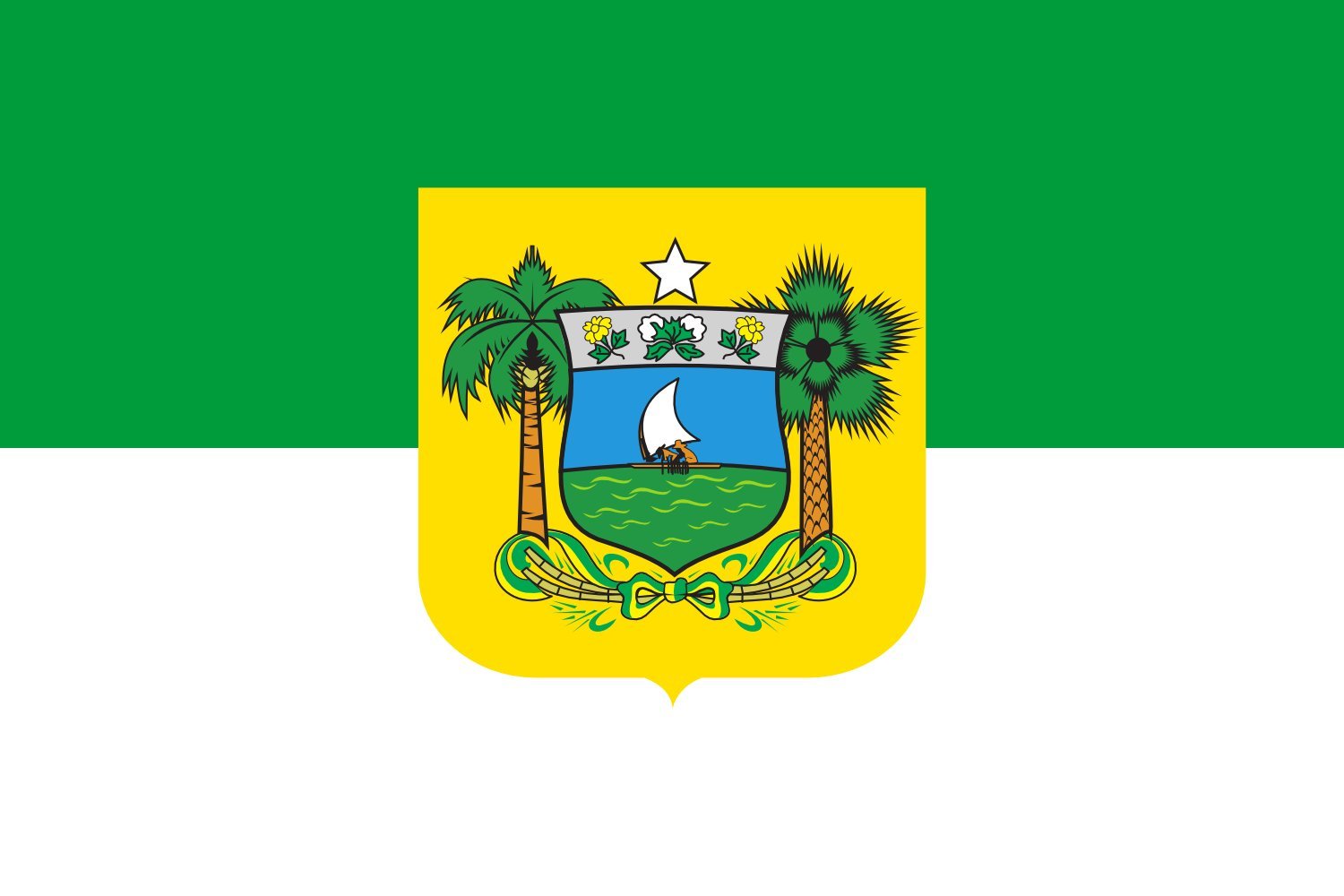 Drapeau XL Rio Grande do Norte de qualité supérieure finition premium