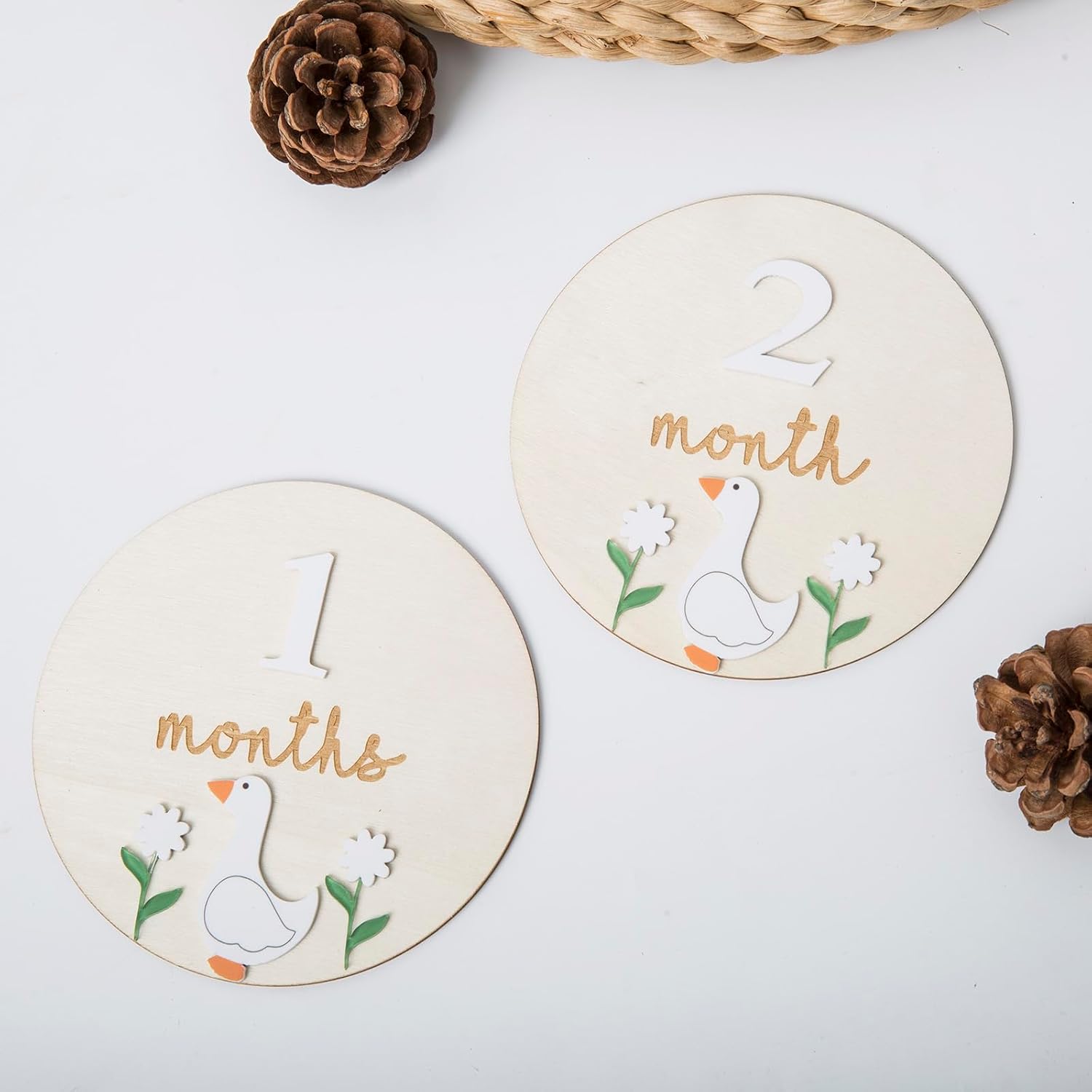 Goose Monthly Milestone Cards - Wooden Discs & 3D Baby Monthly Milestone Signs for Baby Shower & Announcement