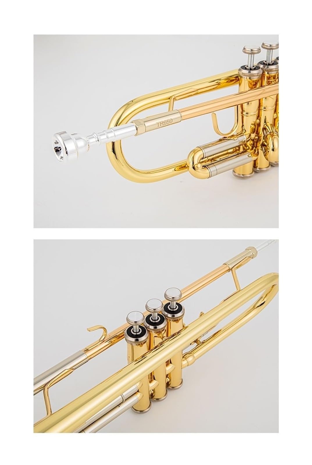 trąbka instrument Trąbka B Flat Instrument trąbkowy dla początkujących mosiądz TR501 Professional