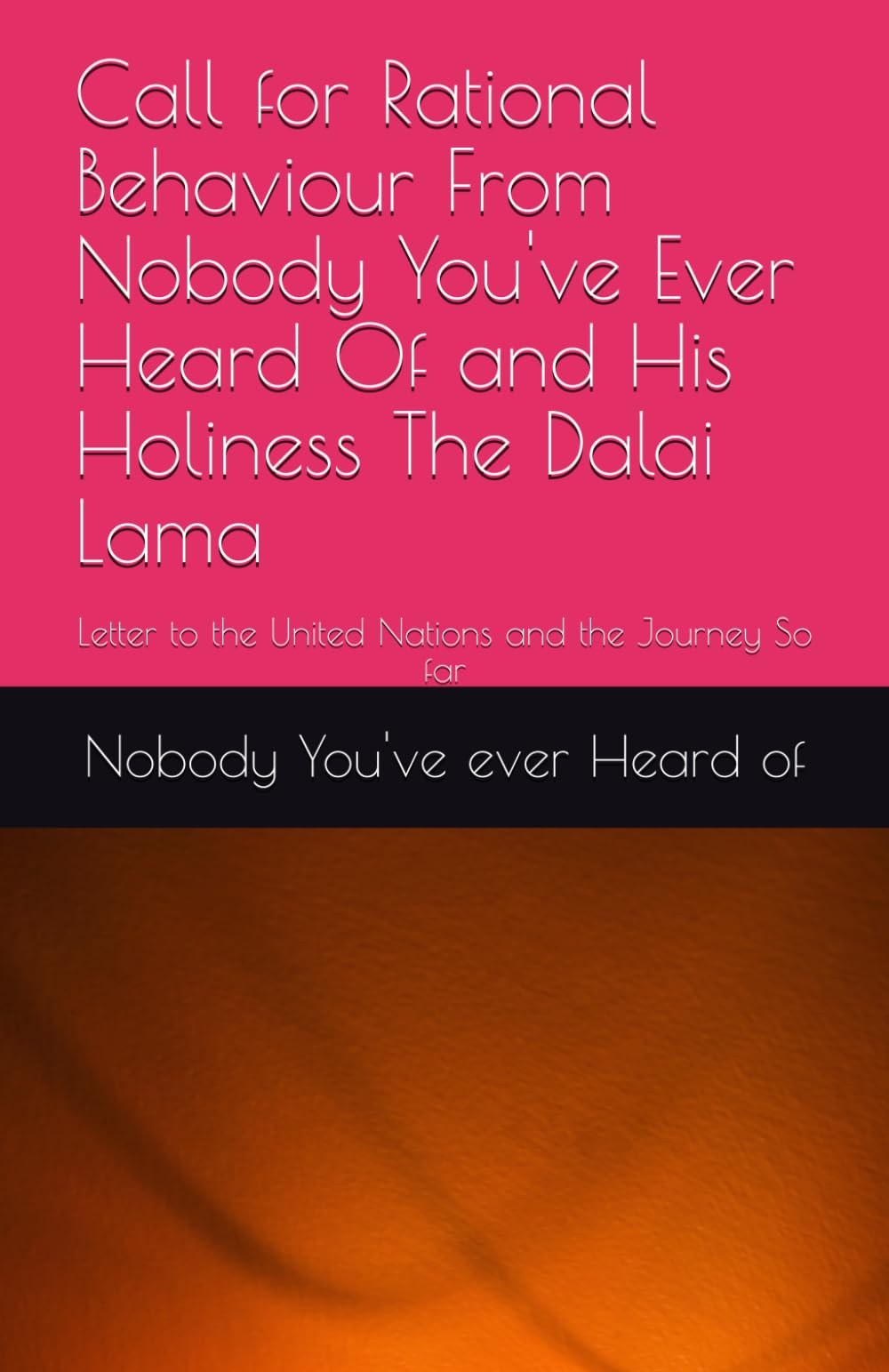 Call for Rational Behaviour From Nobody You've Ever Heard Of and His Holiness The Dalai Lama: Letter to the United Nations and the Journey So far