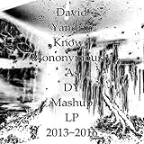  David Yandrin Known Mononymously As DY Mashup LP 2013~2016 [Explicit]