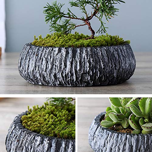 Maceta para plantas suculentas creativa, contenedor de cemento estable que protege raíces 6