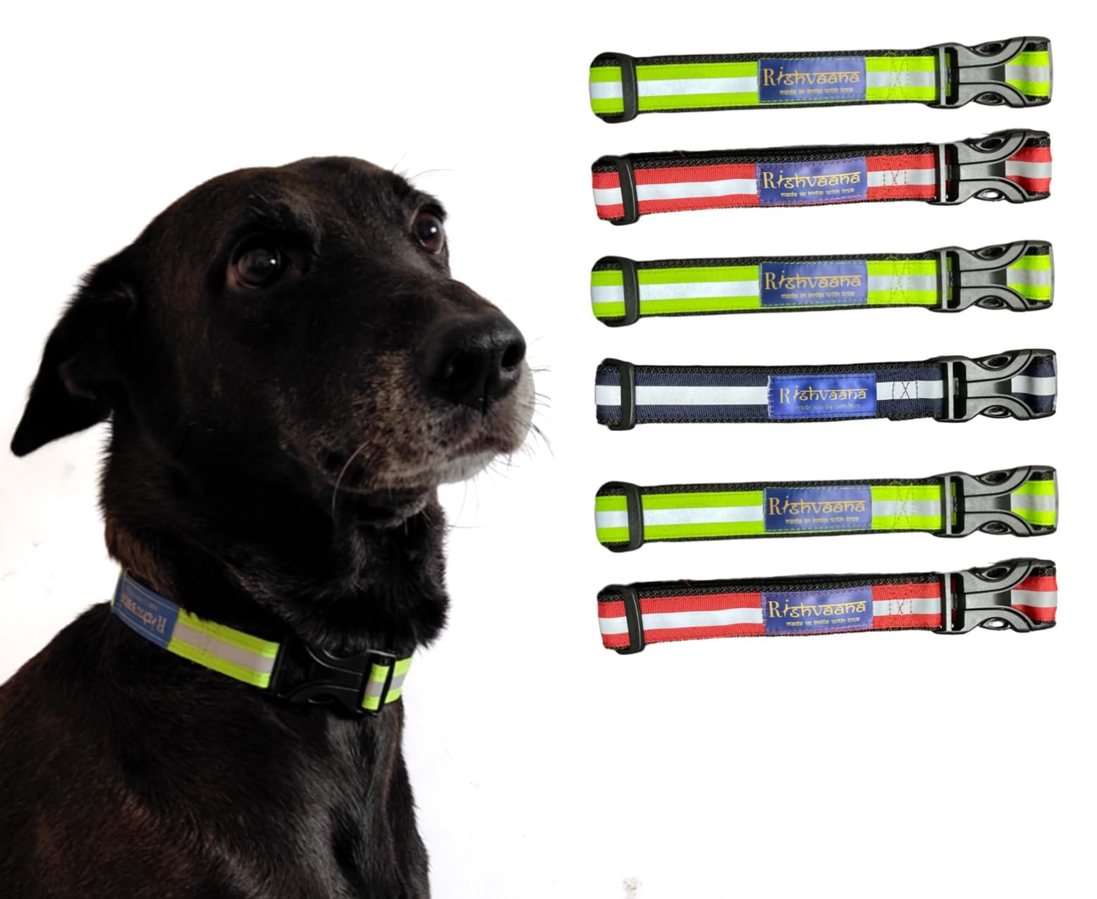 See full amazon price history chart for Rishvaana Reflective Collars for Stray Dogs | Assorted Colours | Durable & Sturdy | Lightweight, high Visibility at Night for Street Dogs | Easy tp Put on and Focused on Stray Dogs (Pack of 6) Rishvaana Reflective Collars for Stray Dogs | Assorted Colours | Durable & Sturdy | Lightweight, high Visibility at Night for Street Dogs | Easy tp Put on and Focused on Stray Dogs (Pack of 6) (B0D1H3WNKF) Amazon Price History, Amazon Price Tracker