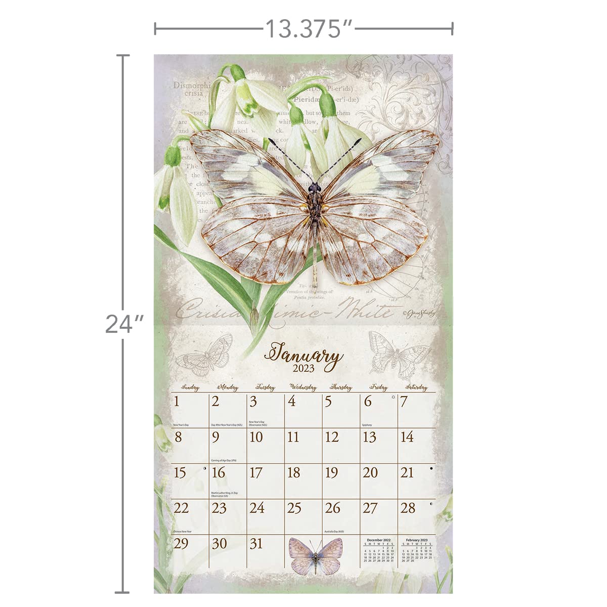 amazon-com-lang-butterflies-2023-wall-calendar-office-products