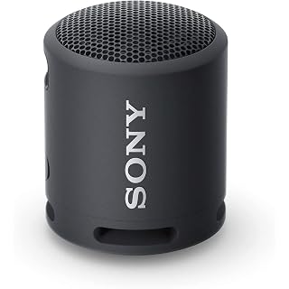 Sony SRS-XB13 Haut-Parleur Bluetooth Compact sans Fil Extra Bass avec 16 Heures d’autonomie, Type-C, étanche IP67, résistant à la poussière, Haut-Parleur avec Micro, Audio Fort pour appels - Les Beatles, Paul McCartney, John Lennon, RIngo Starr, George Harrison