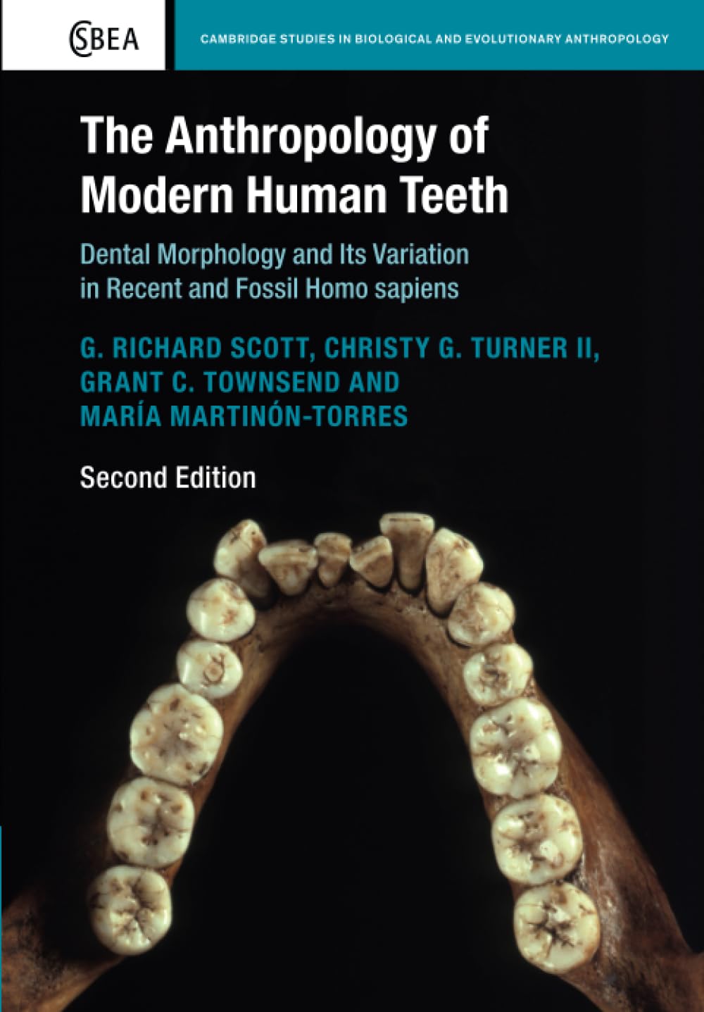 The Anthropology of Modern Human Teeth: Dental Morphology and Its Variation in Recent and Fossil Homo sapiens: 79 (Cambridge Studies in Biological and Evolutionary Anthropology, Series Number 79)