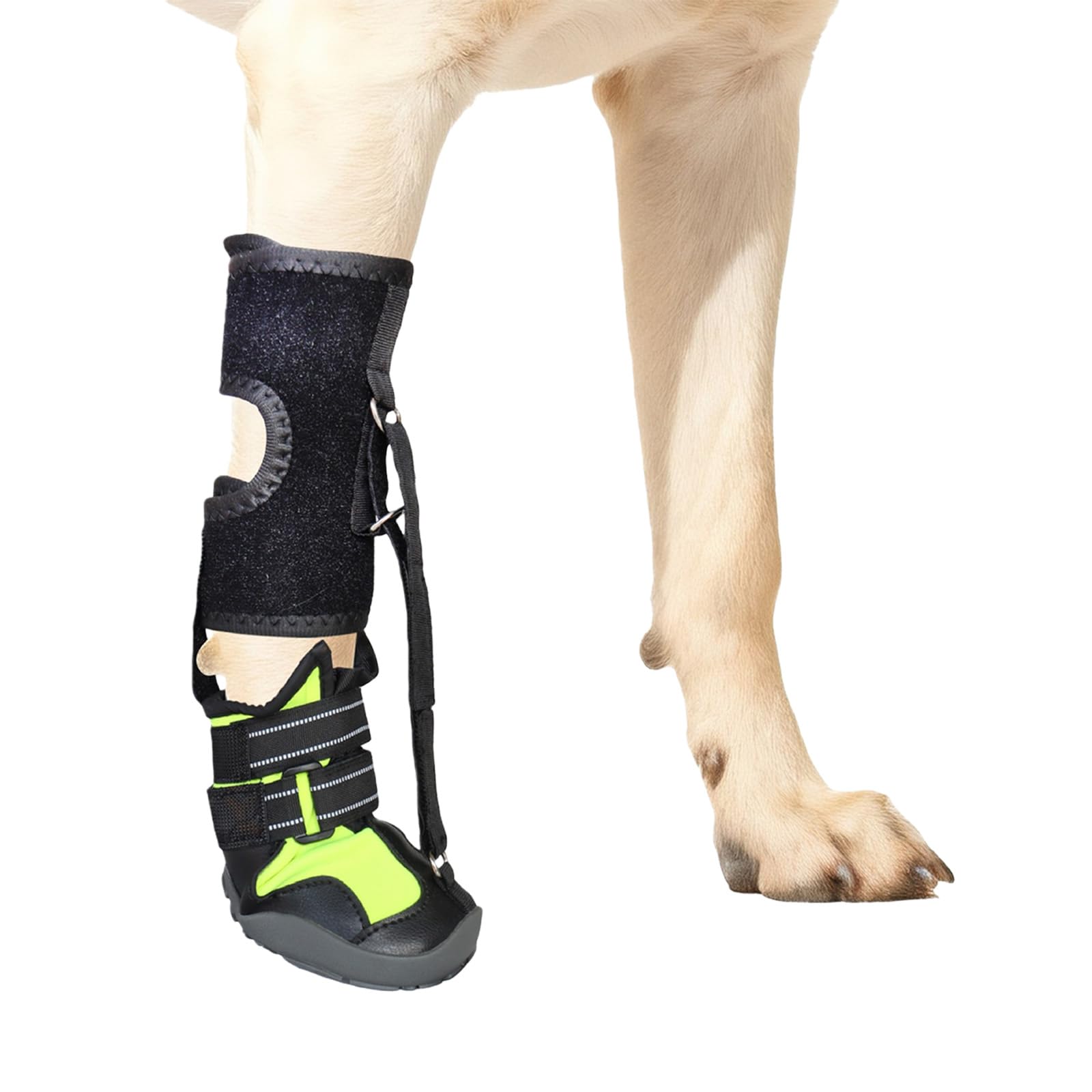 Not Knuckling Boot Brace Drops Foot Brace with Reel for Dog Corrective Dogs Shoes for Feet Issue,Improving Walking Gait Corrective Dog Shoes