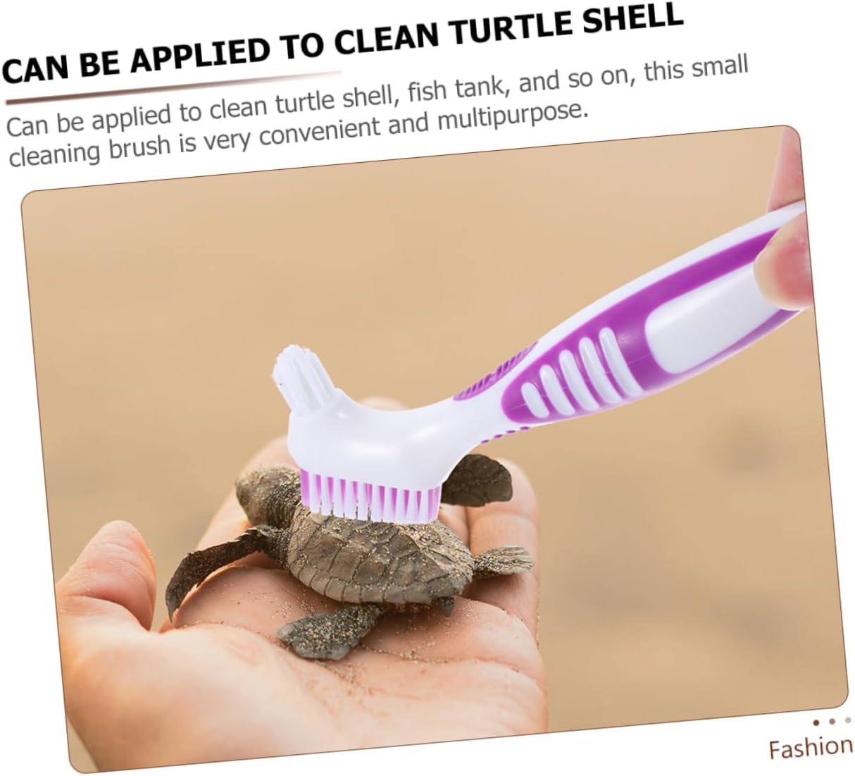 ORFOFE 4pcs Portable Turtle Care Cleaning Brace Brush for Tortoise Shell Cleaning