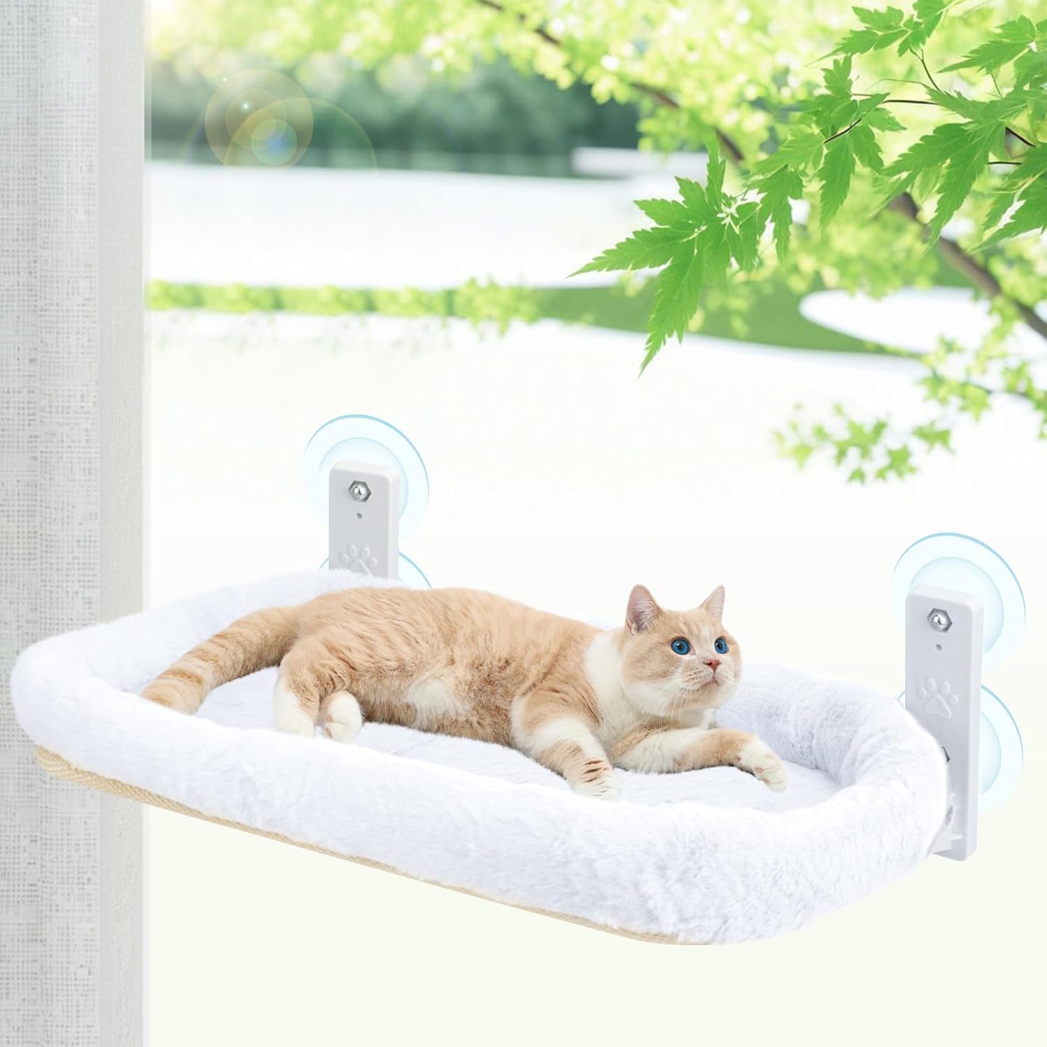 هوماركت سرير ارجوحة للقطط قابل للطي بدون اسلاك مع 4 اكواب شفط قوية واطار معدني صلب مخملي ناعم (نوع ايه، 30 × 52 سم)