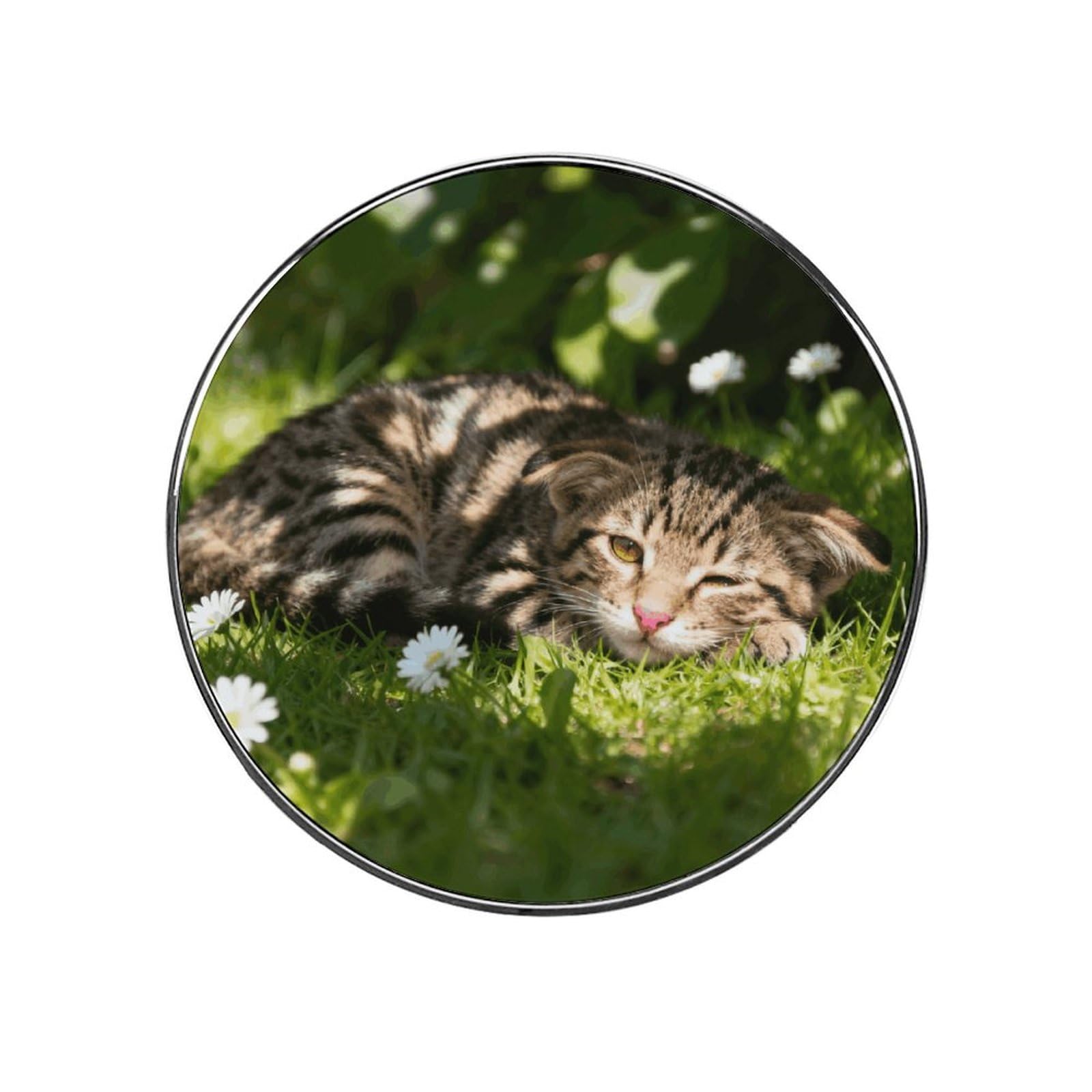 Cute Cats Customizable Refrigerator Magnets, Strong Magnetic Fridge Stickers, Funny Round Decorative Fridge Magnets for Home Kitchen, Whiteboard, Locker, and Office