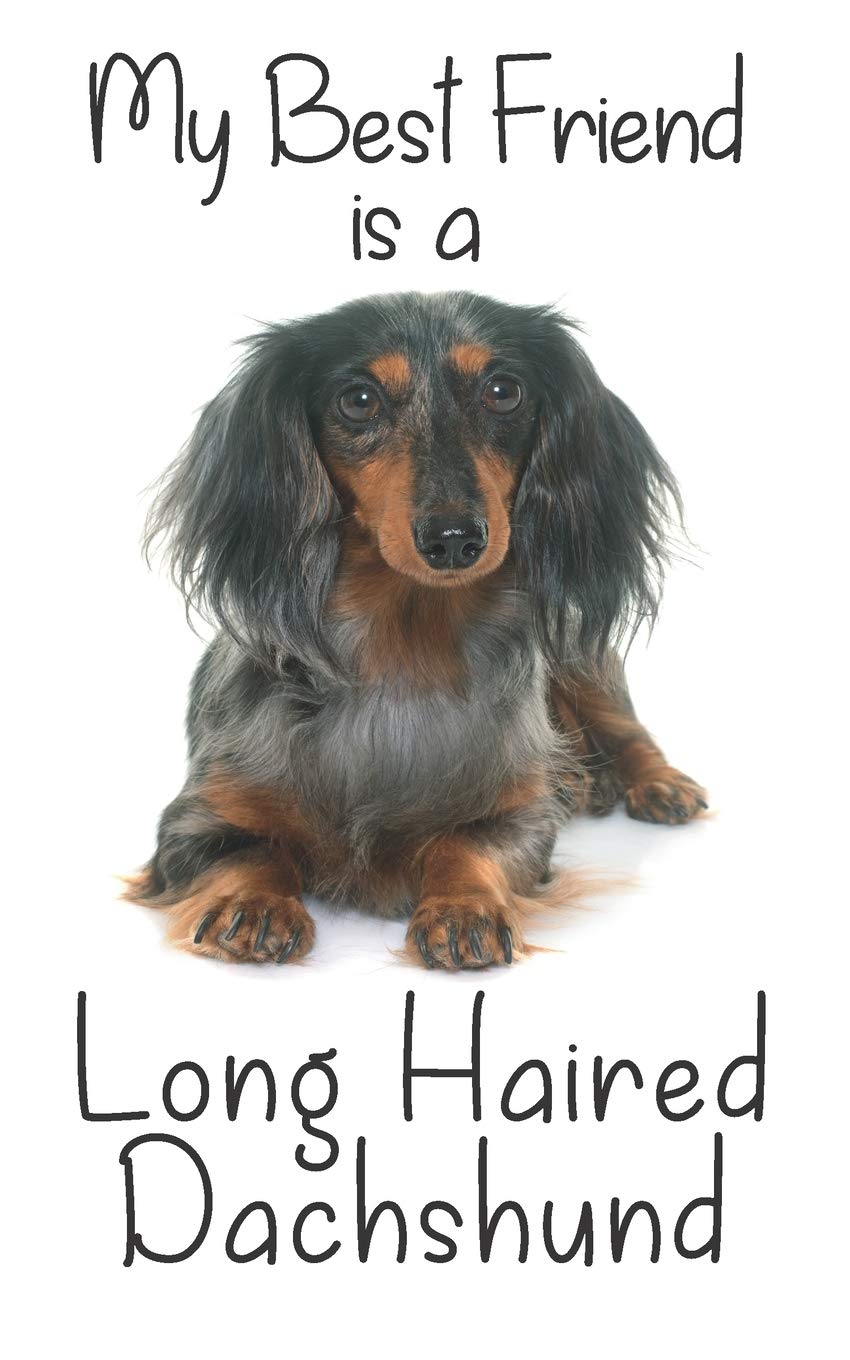 My best Friend is a Long Haired Dachshund: 8” x 5” Blank lined Journal Notebook 120 College Ruled Pages (Best Friends)