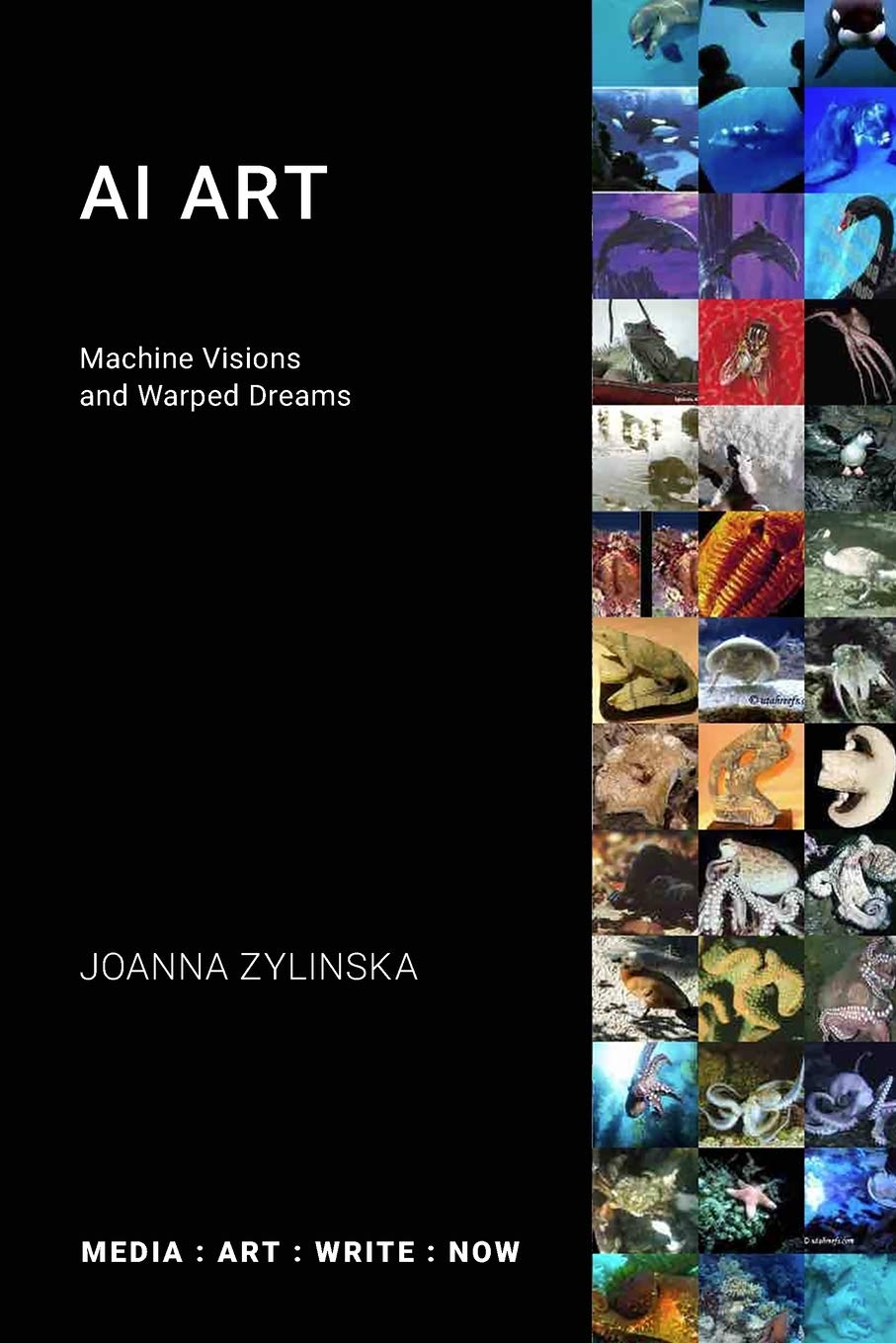 Joanna Zylinska AI Art Machine Visions and Warped Dreams