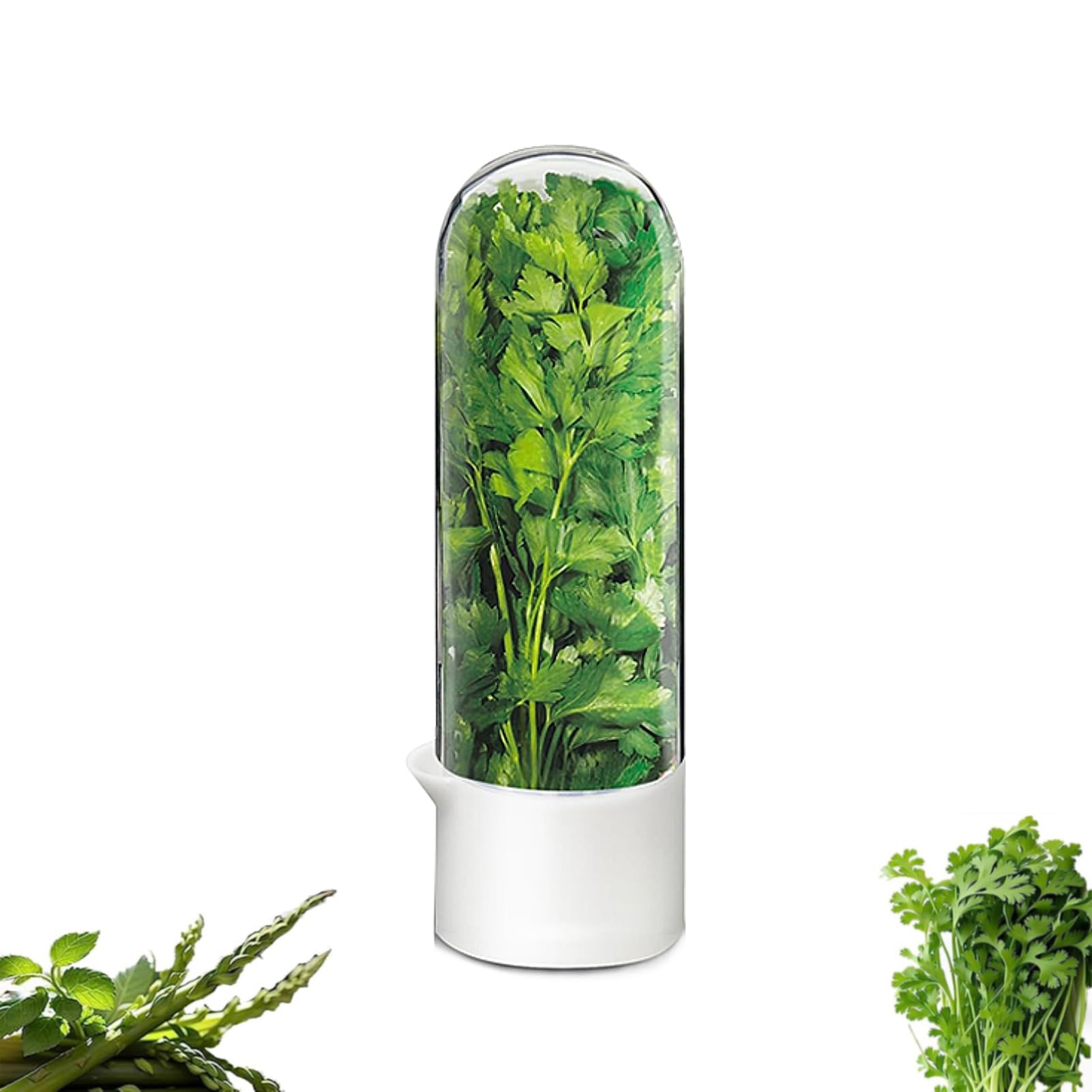 Minkeytal Cilantro Container for Fridge, Herb Saver for Refrigerator - Fresh Herb Keeper for Cilantro, Basil, Asparagus, Parsley, Keeps Greens Vegetables for 2-3 Weeks (1PCS)-image-15