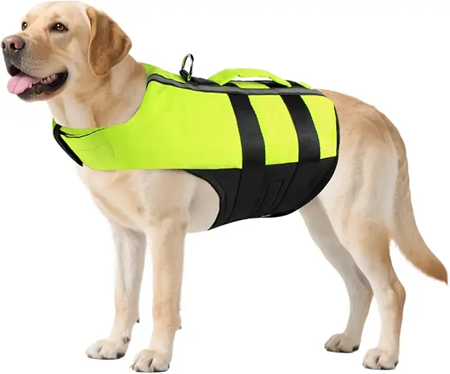 Gilet de sauvetage Namsan pour chien - Sécurité aquatique - Vert