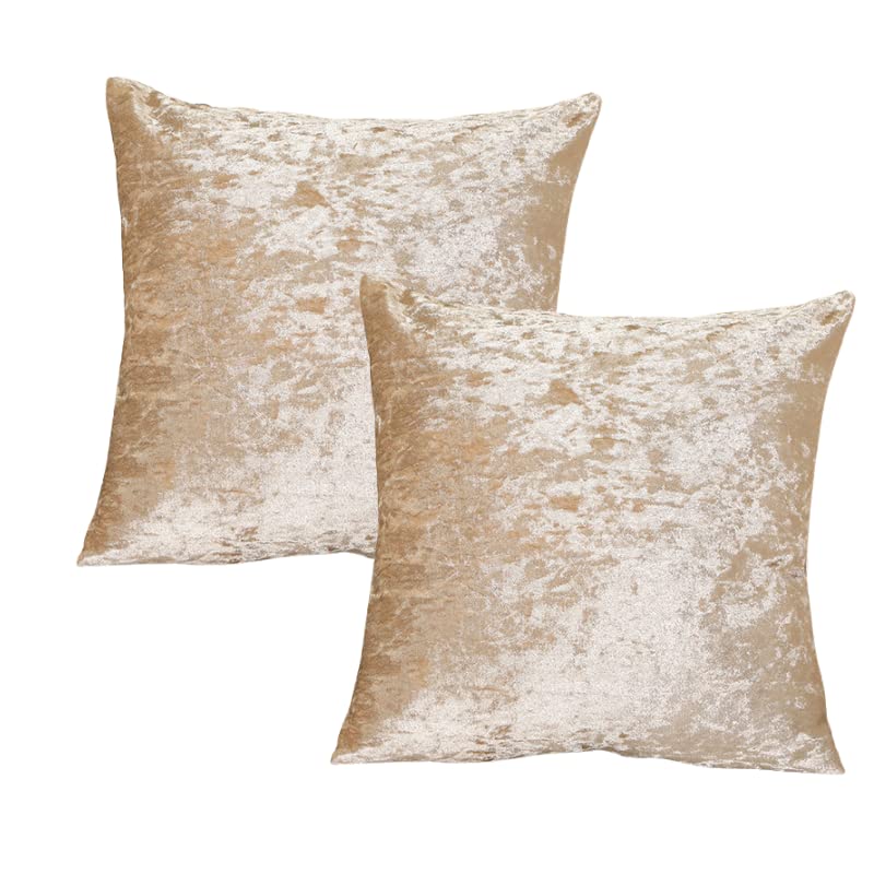 RKAAS HOME Super Soft Decorative Luxurious Crushed Ice Velvet Square Cushion Cover for Living Room Sofa Couch Bed 65cm x 65cm 26x26 Inches (Pack of 2 - Champagne)