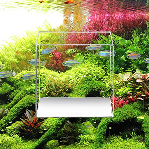 Aquatop High Clarity Low Iron 5Mm Thickness Glass Cube Aquarium, 2.11-Gallons – Safe For Freshwater & Saltwater, Desktop Fish Tank, Silicone Glass Aquarium Tank, Slim-Profile Design, Hcc-8 #TOP3