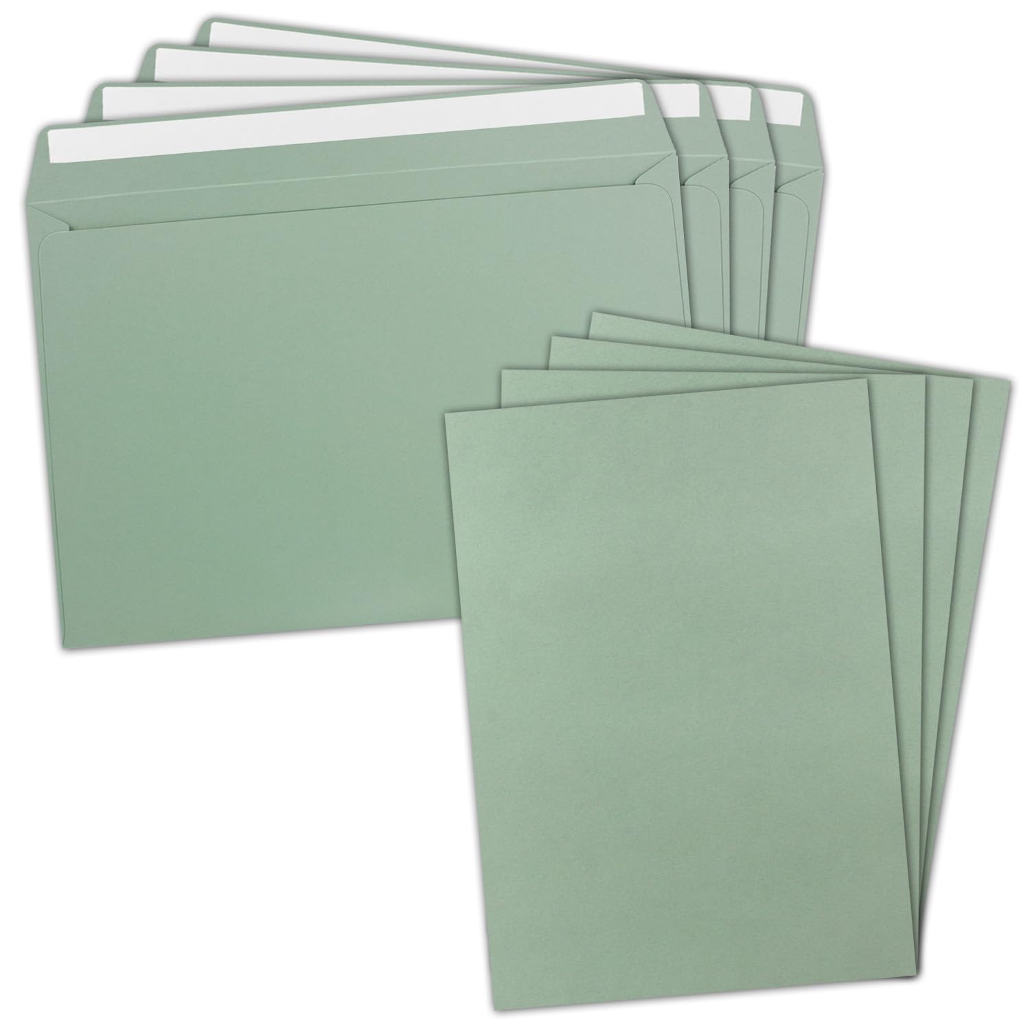200x XXL Einzelkarten-Set DIN A4 mit Umschlägen DIN C4 - Eukalyptus | Karte 21 x 29,7 cm - Briefumschlag mit Haftklebung 22,9 x 32,4 cm - für Versand von Grußkarten, Urkunden und Gutscheinen