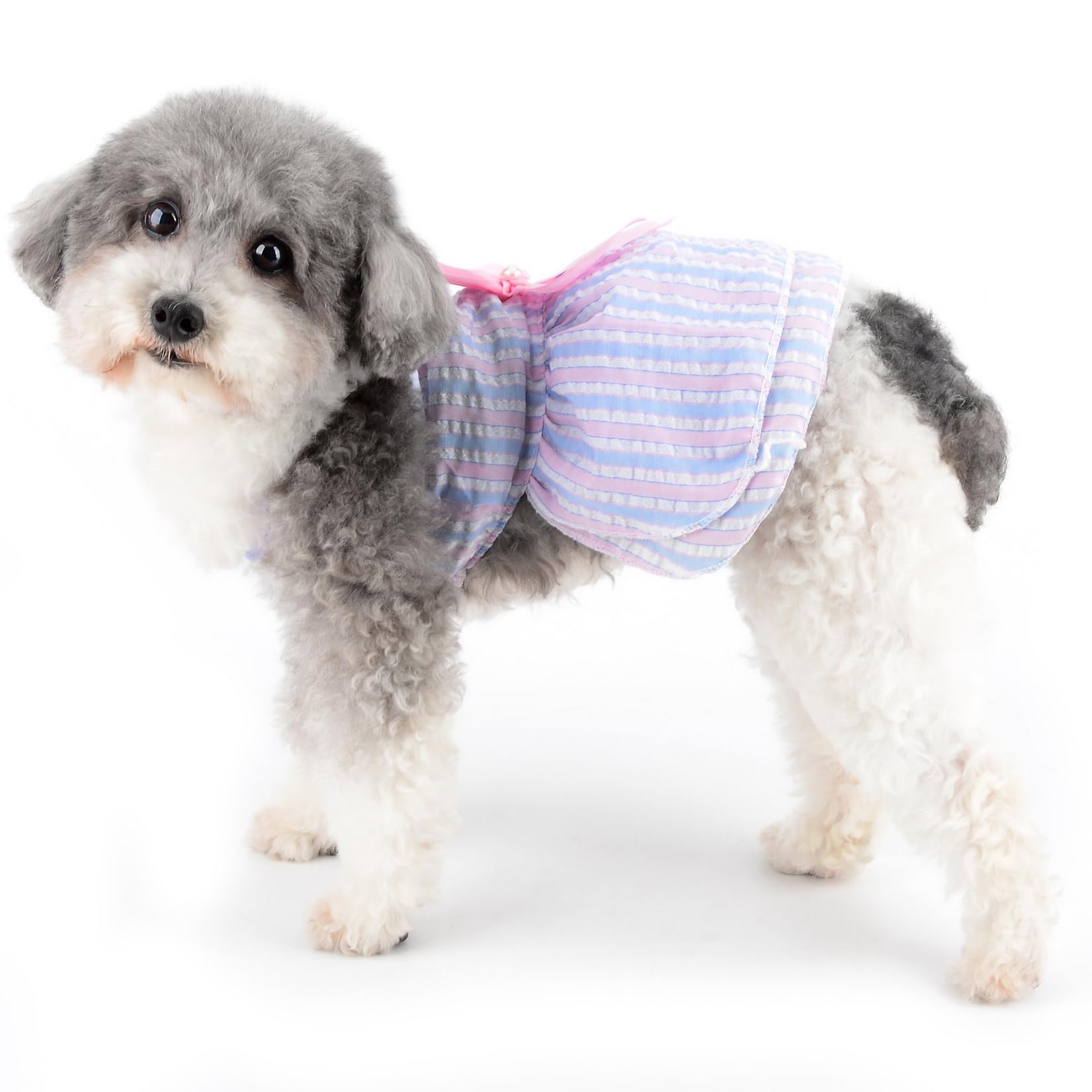 Zunea Dog Dresses for Small Dogs Girls Summer Striped Puppy Vest Skirt Princess Dress with Bow Knot Pearl Birthday Party Wedding Dress Elegant Pet Apparel for Chihuahua Doggie Yorkie Blue S