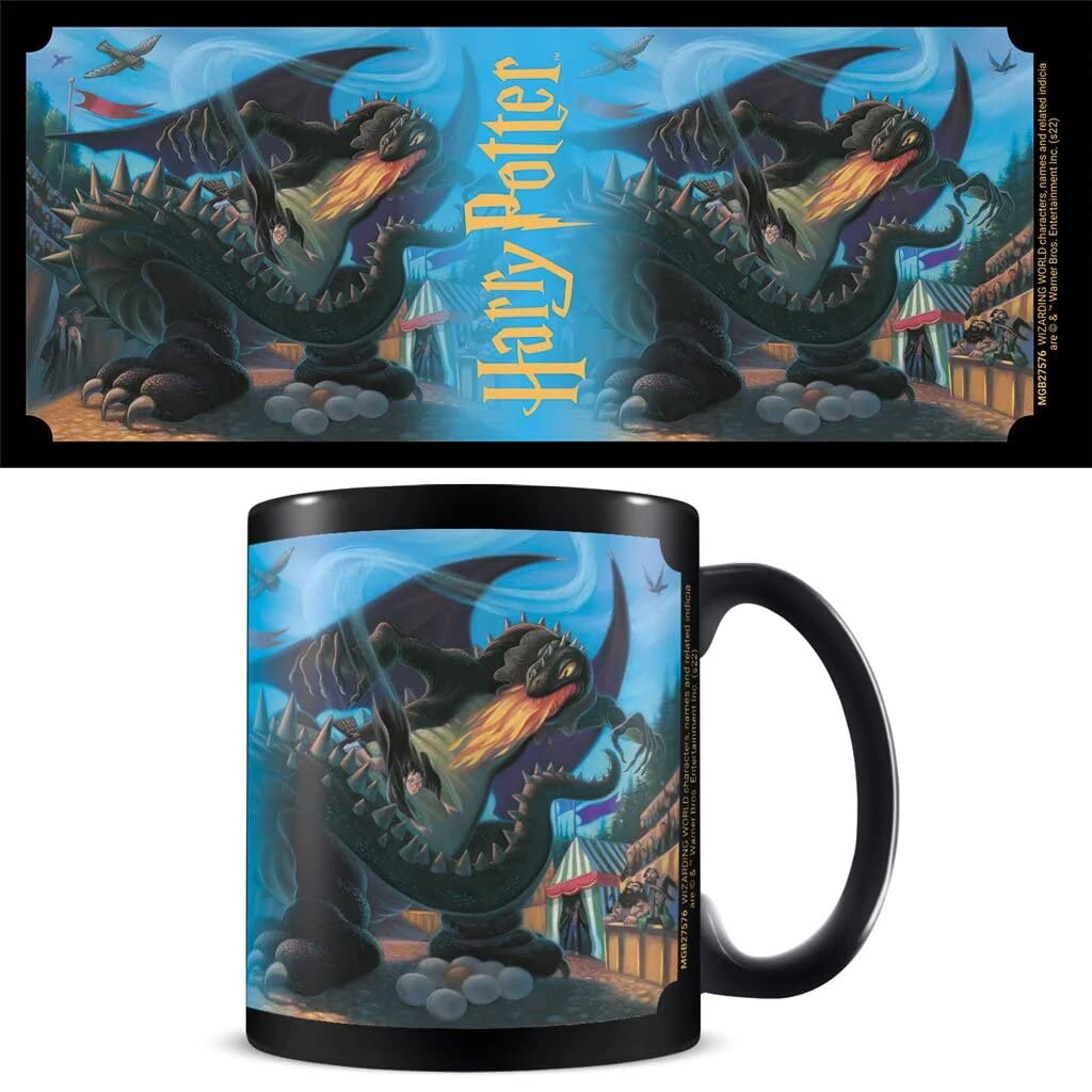 Pyramid International Harry Potter Mug in Presentation Gift Box (Anything is Pos