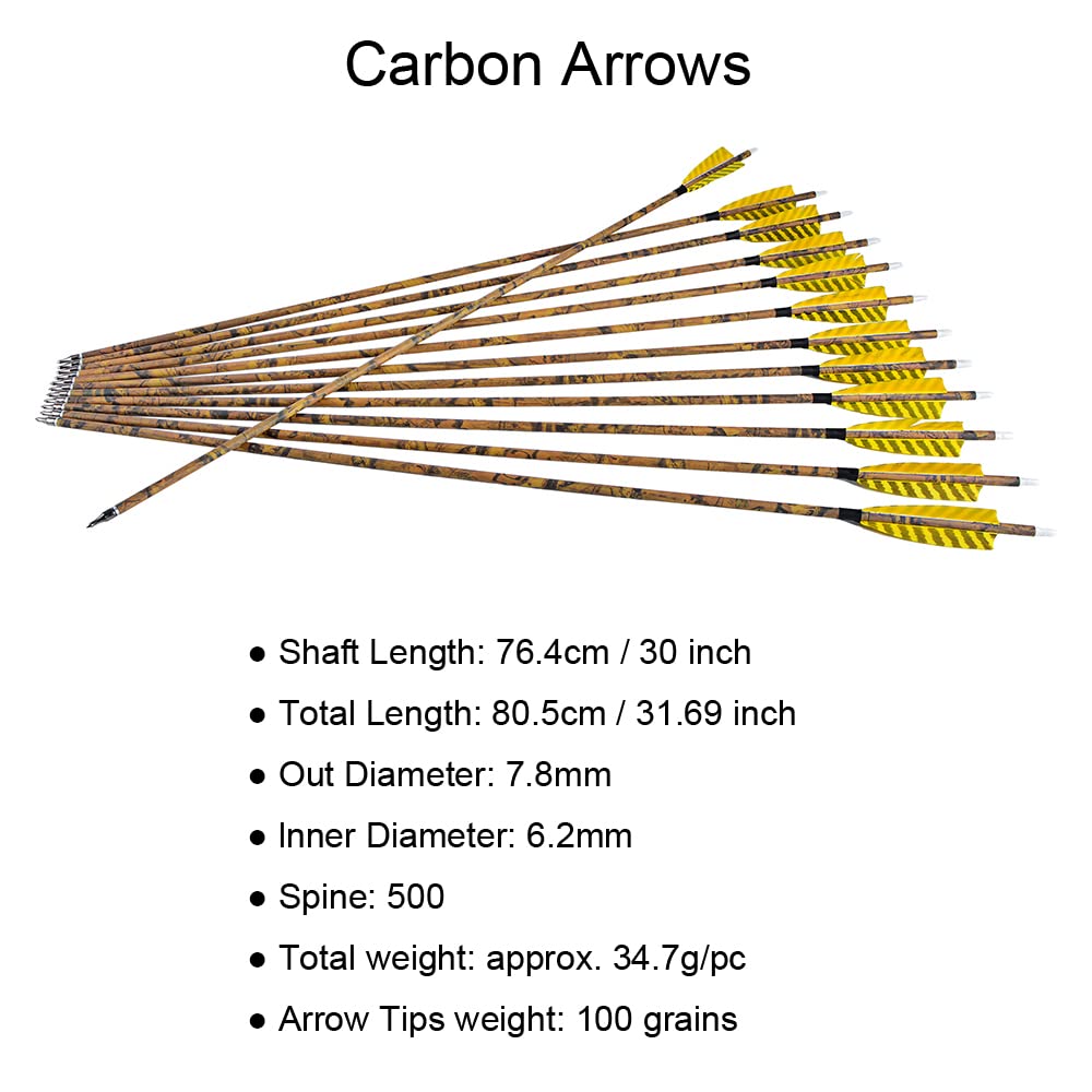 12 Stück Carbonpfeile Für Bogen - 31 Zoll Spine 1000 - Mit Pfeilköcher Für Compound Recurve