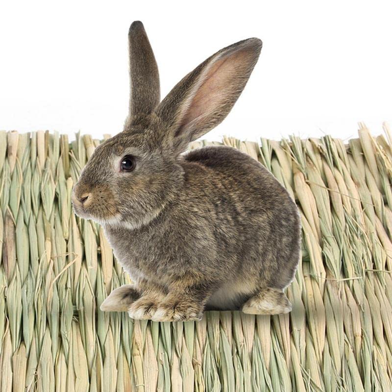Kaninchen-Grasmatte Aus Natürlichem Heu – Handgewebt, Als Einstreu, Schlafplatz Oder Spielzeug Für Kleintiere