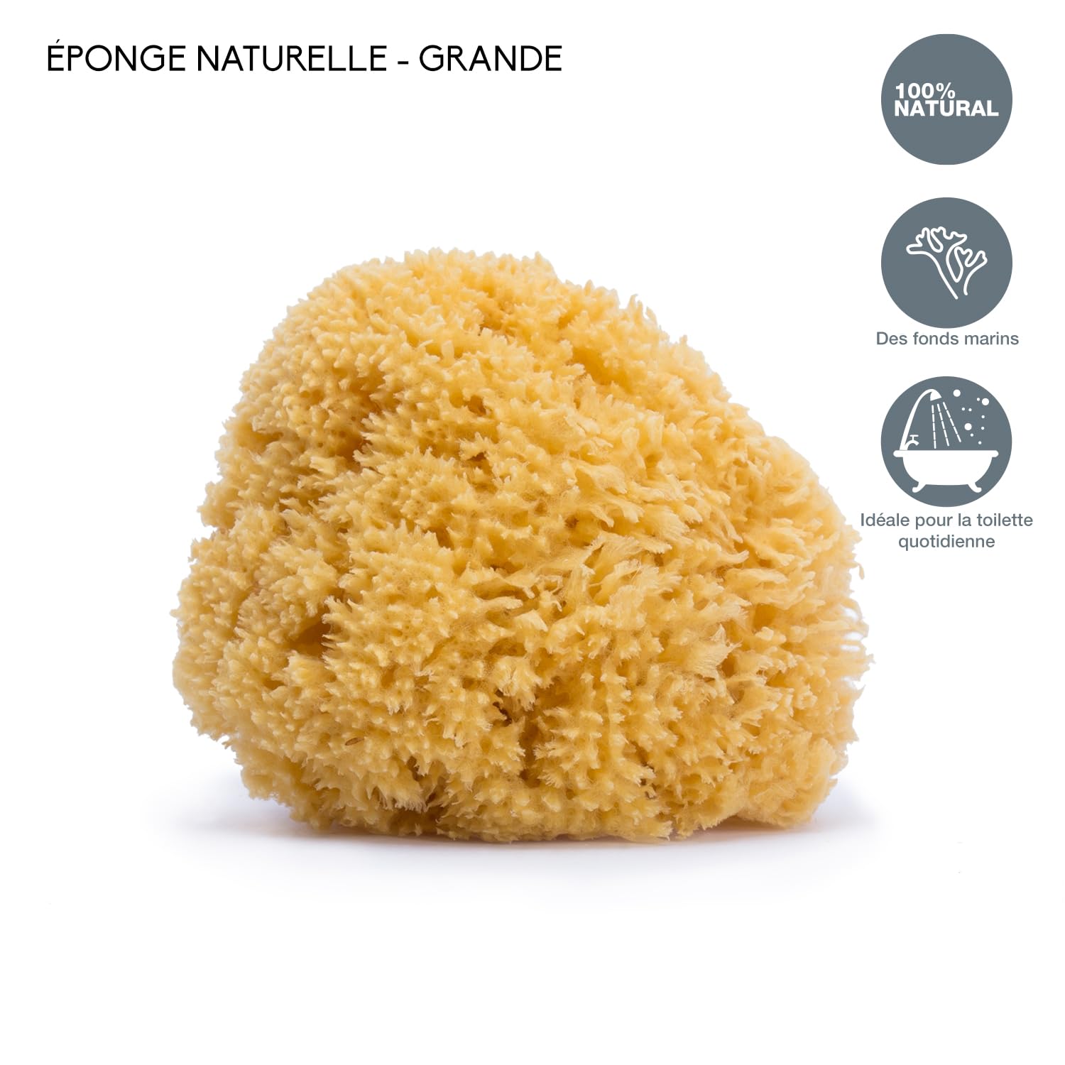 Suavinex, Lot 3 Éponges de Bain pour Bébés, Enfants et Nouveau-Nés, Naturelles de Mer, Douces, Grandes et Très Absorbantes, pour la Toilette Quotidienne et L'Hygiène du Bébé, +0 Mois
