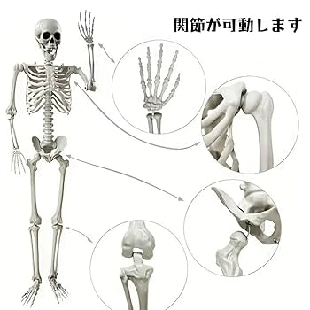 Amazon.co.jp: 【Russel】置物 オブジェ 骸骨 ガイコツ ドクロ