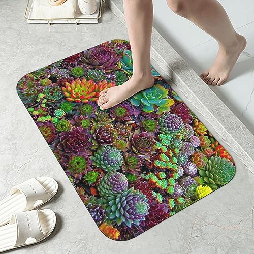 Tapis de bain en terre de diatomée anti humidité VACSAX - 4