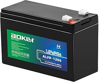 12V 6Ah LiFePO4 Battery Rechargeable Deep Cycle Lithium Iron Battery for Fish Finder, UPS,Kids Ride On Toys