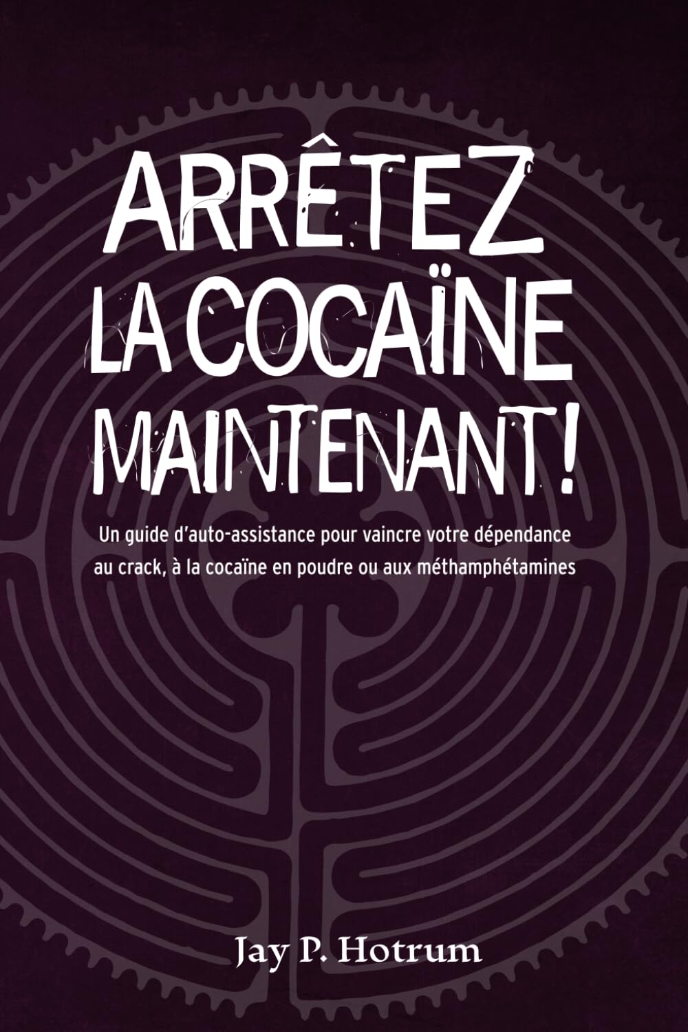 Arrêter la Cocaïne Maintenant !: Un guide d’auto-assistance pour vaincre votre dépendance au crack, à la cocaïne en poudre et aux méthamphétamines (GlobalAddictionSolutions.org)
