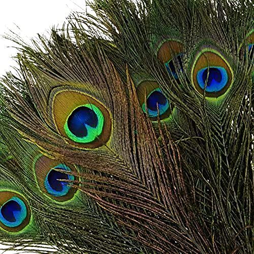 Herebuy8 40Pcs Real Natural Peacock Tail Eyes Feathers Perfect For Wedding Party Arts And Crafts Home Decorations Diy (40Pcs) #TOP5
