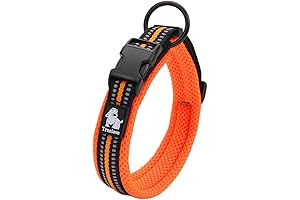 Creation Core Padded Reflective Dog Collar for Outdoor Adventures