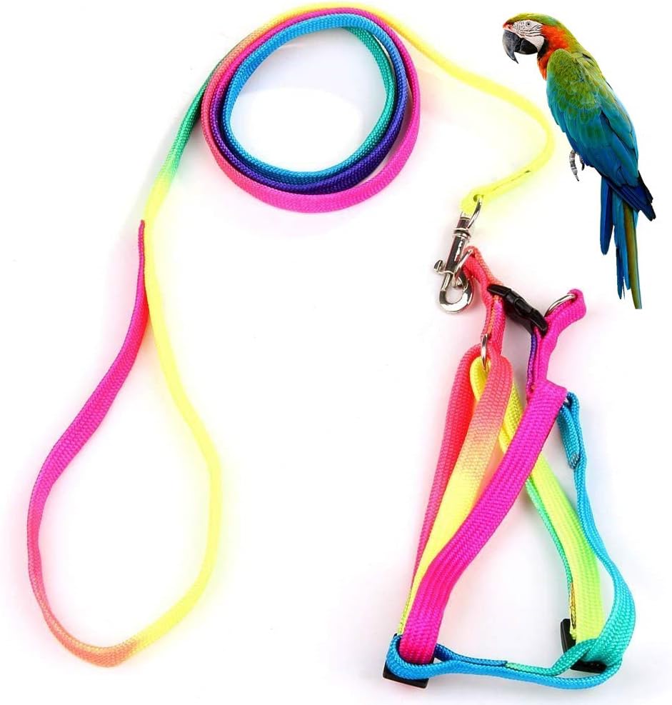 Hypeety Pet Bird Harness and Leash with Buckle Adorable Rainbow Design Safe Parrot Leash Pet Harness Outdoor Adjustable Anti Bite Training Rope for Macaw Large Size Bird (1.5cm × 47.24in)