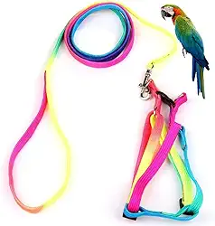 Hypeety Peitoral e coleira para animais de estimação com fivela, adorável design de arco-íris, coleira de papagaio segura, ajustável, antimordida, corda de treinamento para arara, pássaro de tamanho