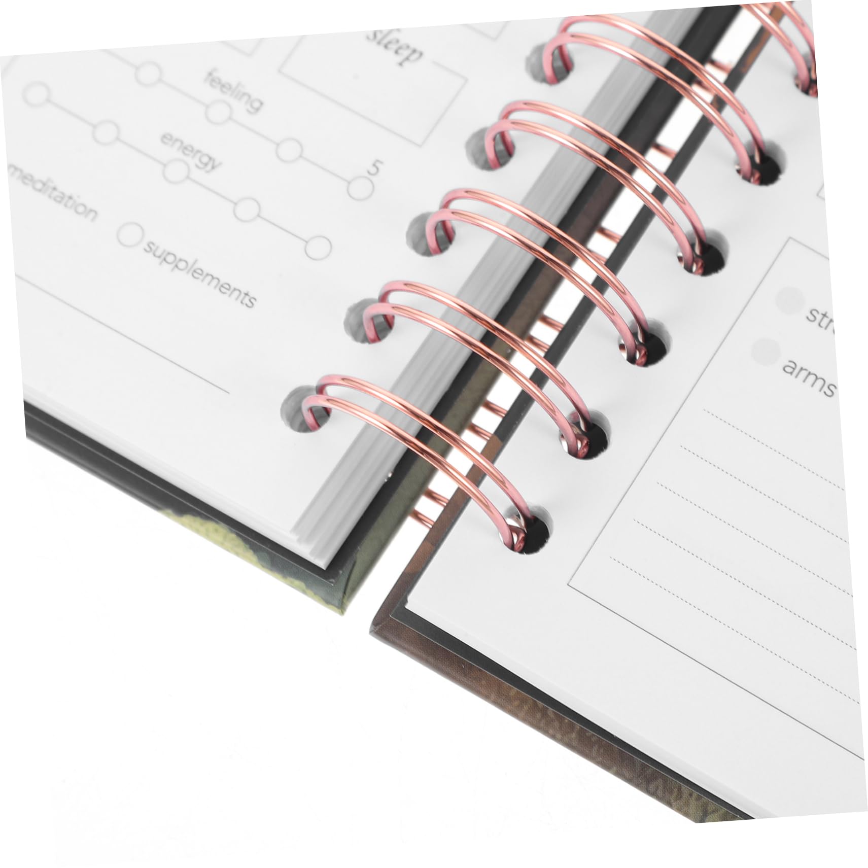 Homoyoyo Fitness Agenda Notebook Workout Journal Workout Log Book for Student Teacher Office Workers Compact Stylish