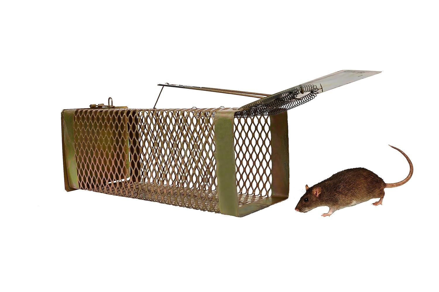 Large Golden Iron Rat, Rodent, Mouse Trap/Catcher, Ultimate Solution to Rat Problems, 1 Piece-image-15