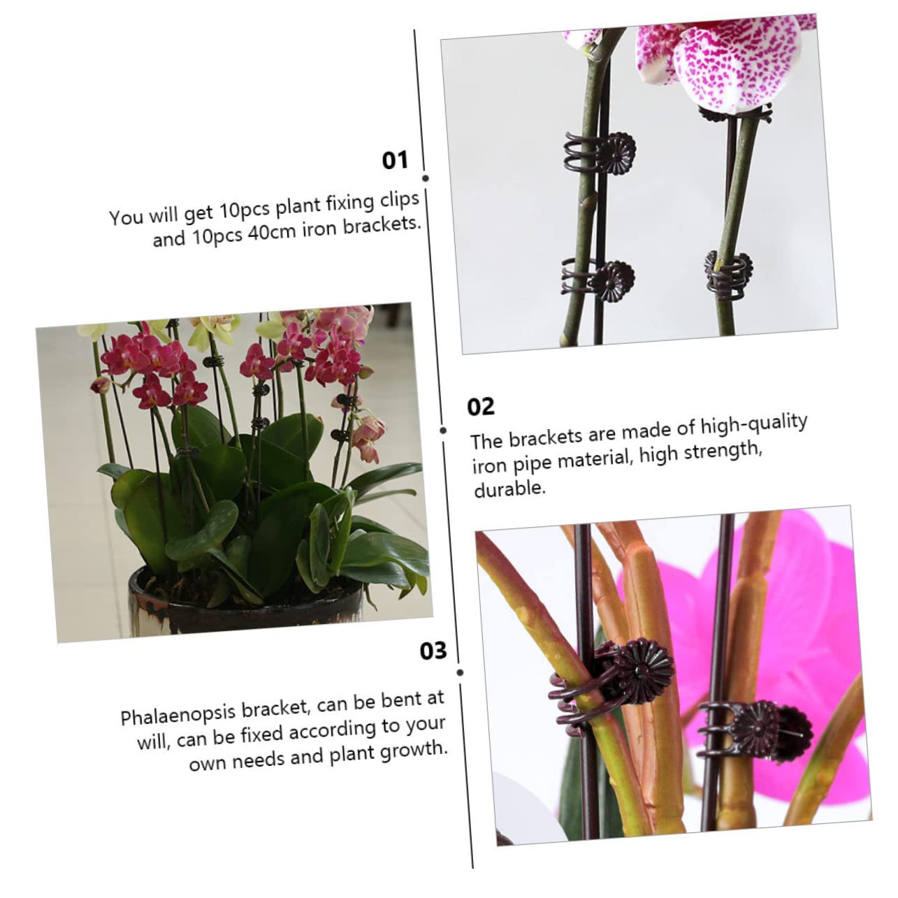 UPKOCH 2 Sätze Teiliges Set Pflanzstützen Clips Mit Eisenstäben Und Klammern Für Kletterpflanzen Wetterfest Wiederverwendbar Zur Unterstützung Von Orchideen Und 20 Stück * 2