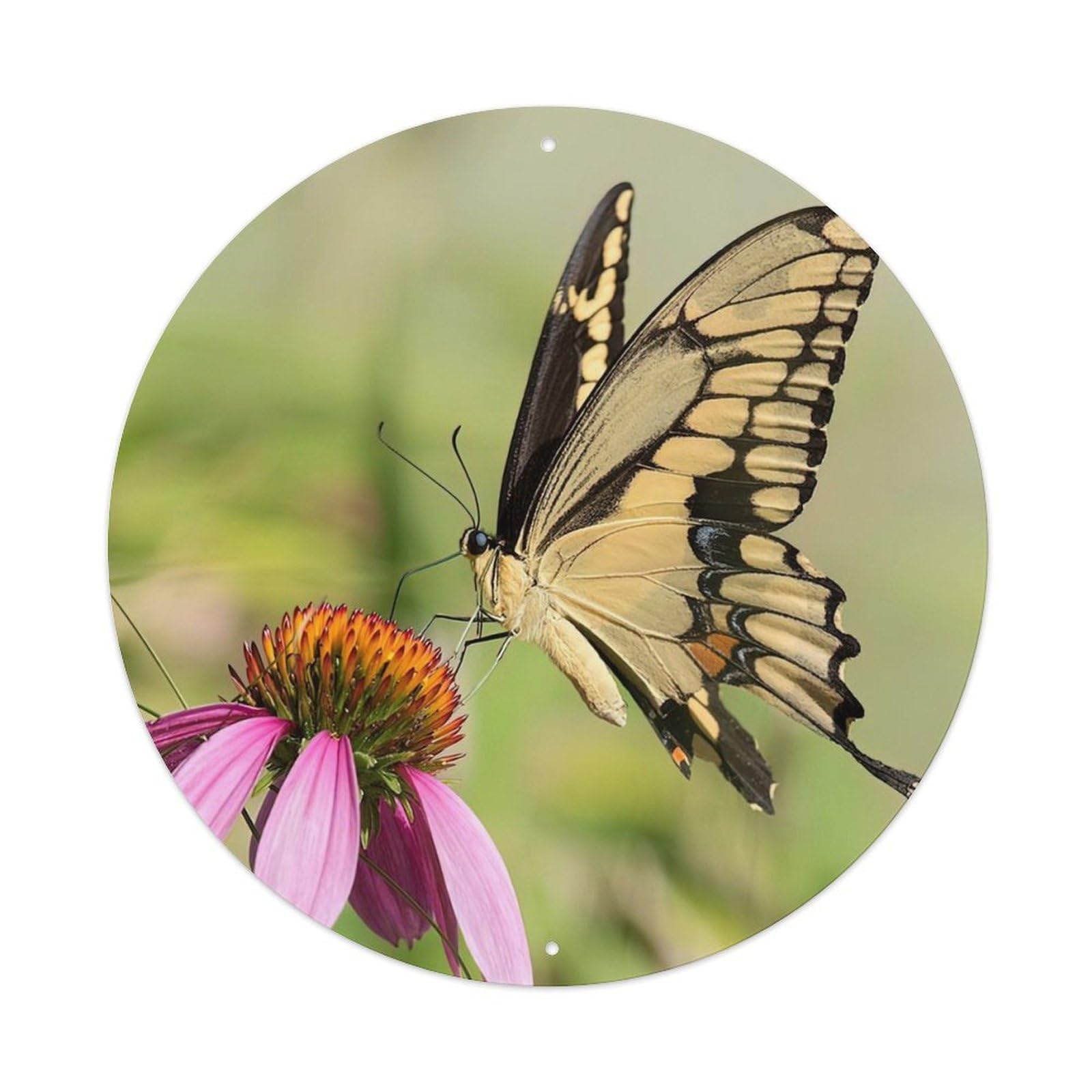 Insects VGiant Swallowtail Butterfly Vintage Metal Tin Sign Plaque Wall Decor for Cafe, Club Bar, Office, Garden Metal Poster 8x8Inch