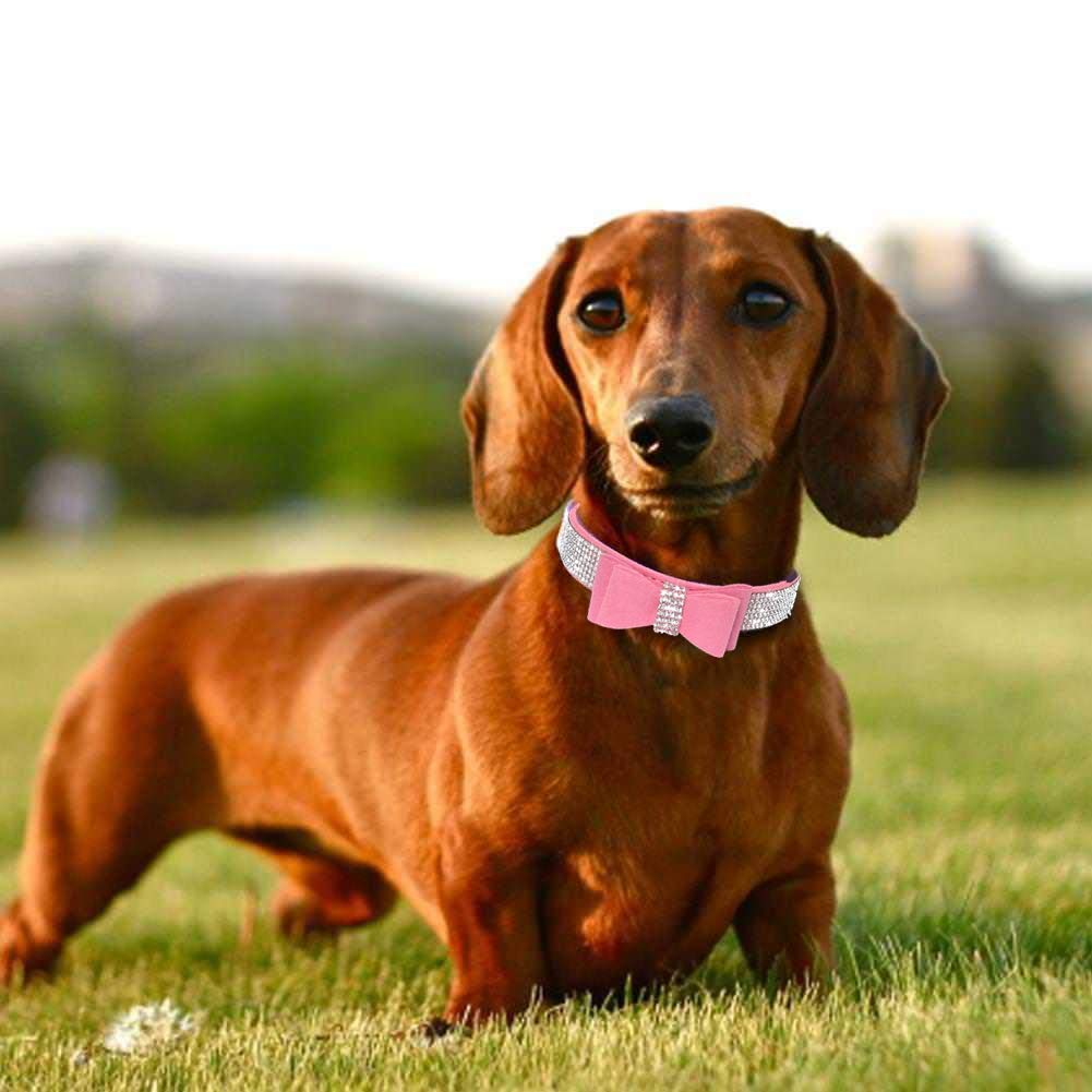 haoyueer Cute Dazzling Sparkling Elegant Fancy Soft Suede Leather Bling Rhinestone Crystal Jeweled Pet Cat Dog Puppy Collar Dog Leash Combo Set (XS, Pink-1) — view 5