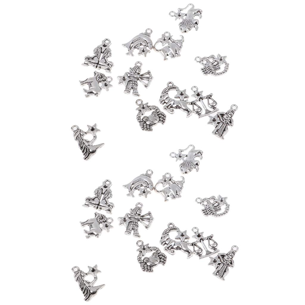 P Prettyia 12 Signos Del Zodiaco Doce Constelacion Simbolo Lucky Charm Colgante Para Diy Collar Pulsera Fabricacion De Joyas Accessaries 2 Sets 24pcs Plata An Amazon Es Juguetes Y Juegos