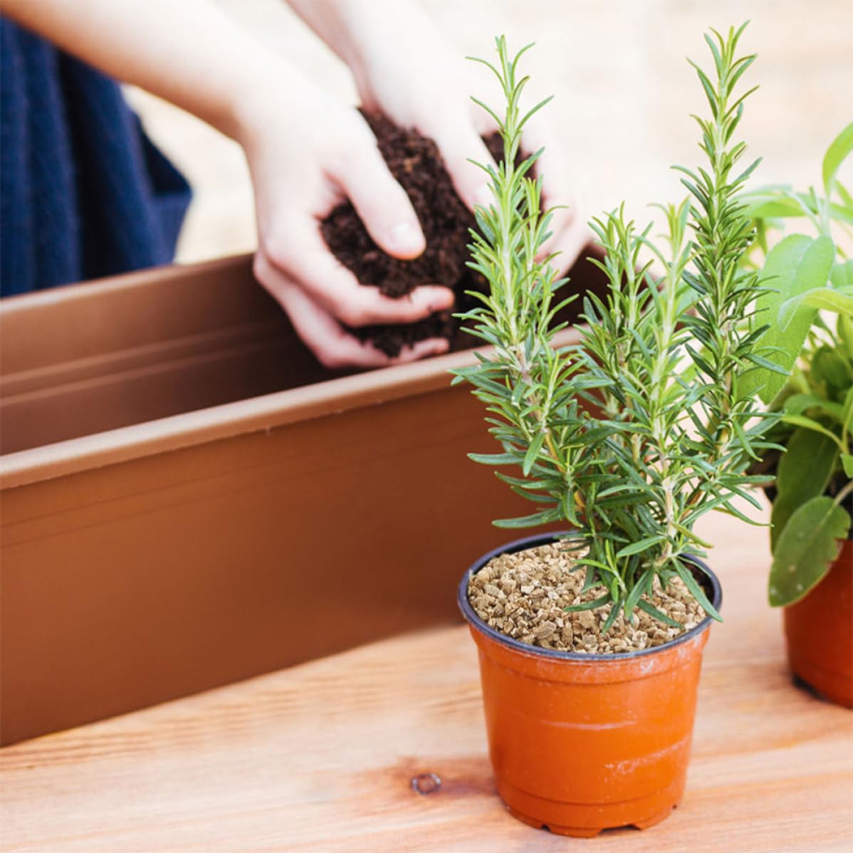 5l Expandiertes Vermiculit für Pflanzen und Pilzkeimung Anzuchterde mit Feinem Vermiculit Gewährleistet Drainage für Blumenanzucht und Gartenbau